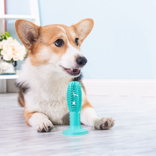 The New Dog Toothbrush, Dog Molar Teeth Cleaning Stick, Leaking Food Device, Bite Resistant Dog Toy - Image 2